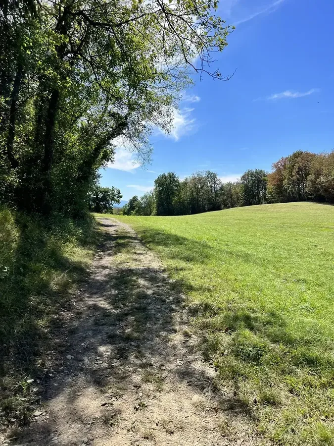 Circuit Albanais 2 gravel - single forêt pont Albanais