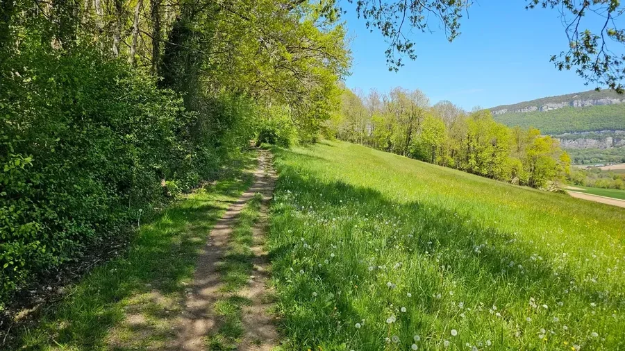 Circuit Albanais 2 gravel - piste agricole vue montagnes Albanais