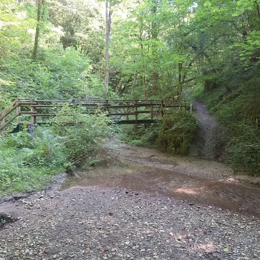 Circuit Rumilly gravel - pont forêt Albanais Annecy