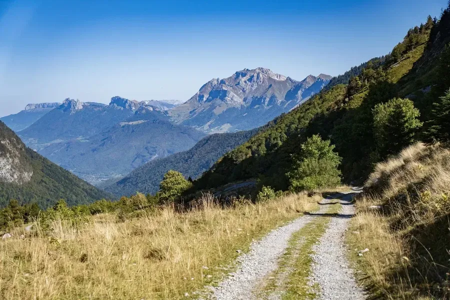 Combe d'Ire gravel - chemin forestier réserve Bauges Annecy