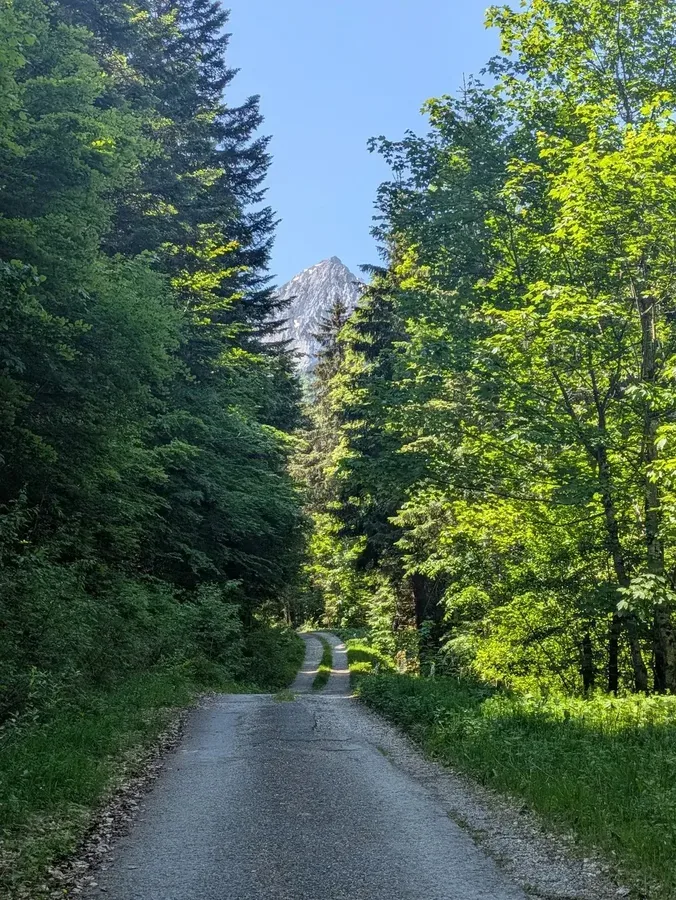 Combe d'Ire gravel - piste montagne col Chérel Bauges