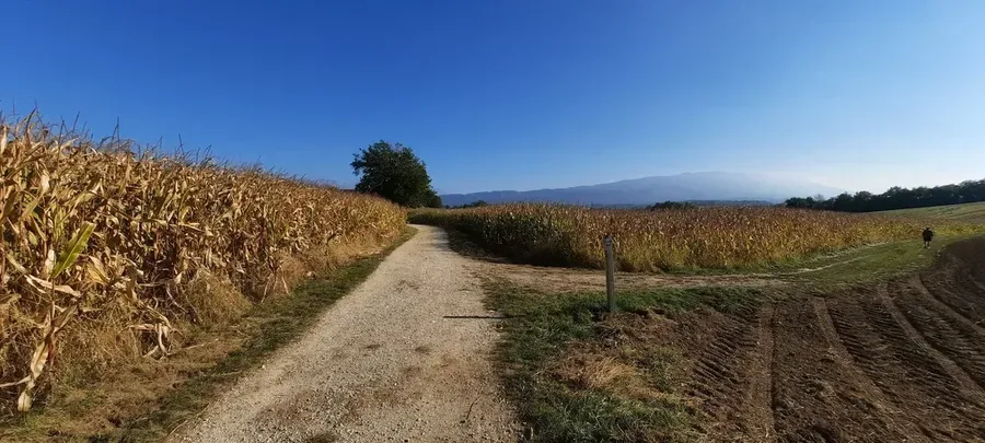 Initiation Gorges du Fier - chemin agricole gravel Albanais Annecy