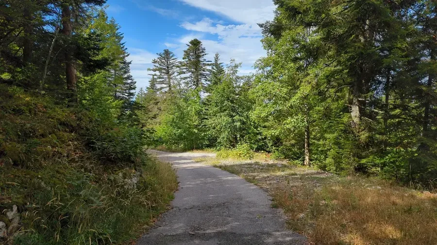 Montée du Semnoz 100% Gravel - vue sur le lac d'Annecy depuis le Semnoz