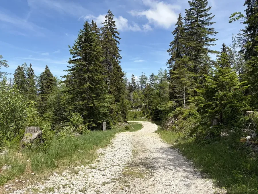 Montée du Semnoz 100% Gravel - single gravel sommet Semnoz